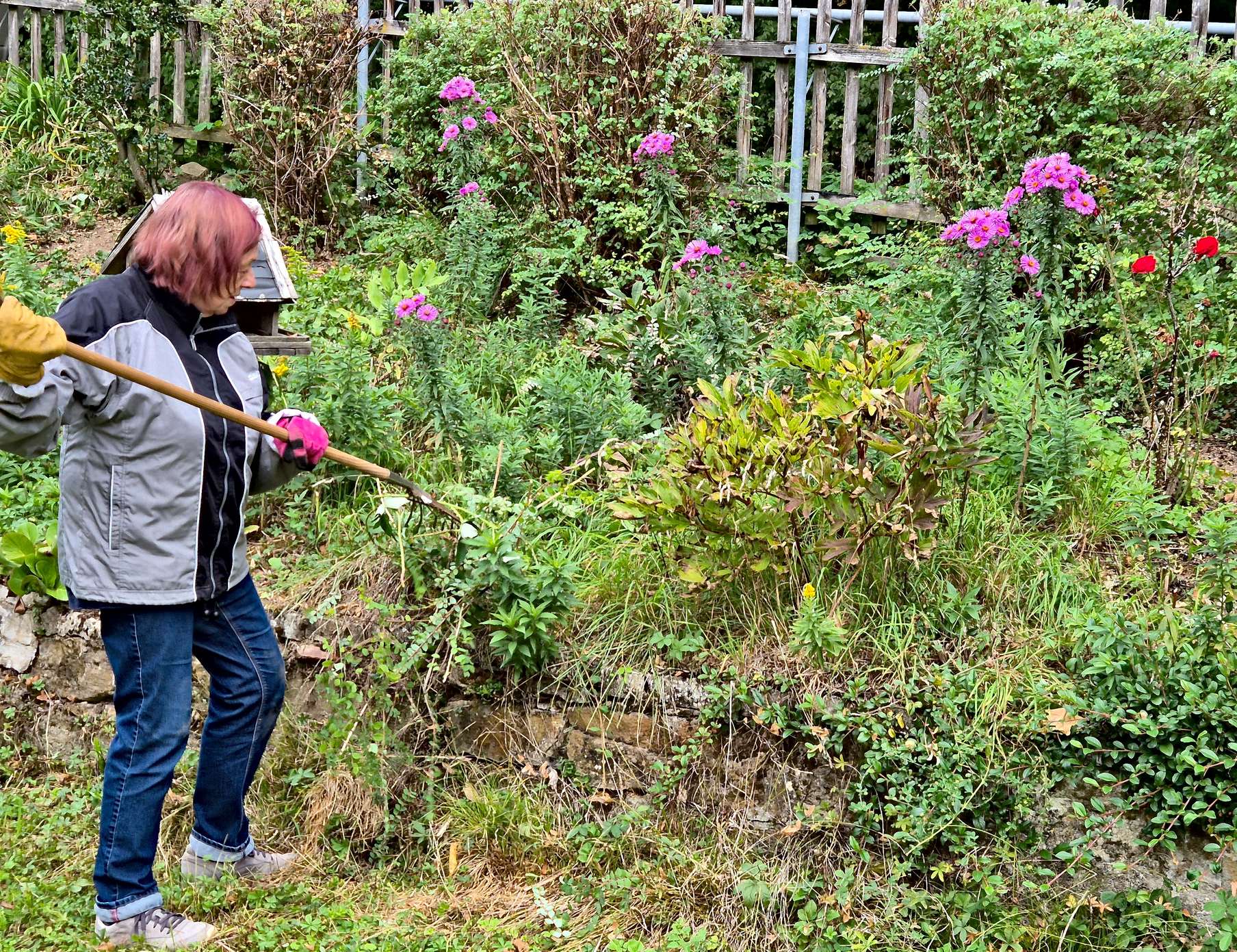 Frau bei der Gartenarbeit an einem Beet mit Sträuchern und Blumen